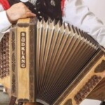 What Type of Südklang Harmonika is Best for You?